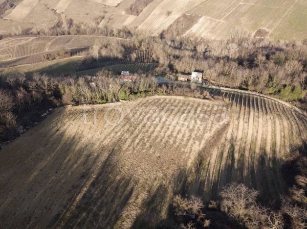 terreno agricolo in vendita a Santa Giuletta