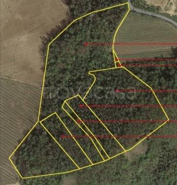 ufficio in vendita a Santa Giuletta