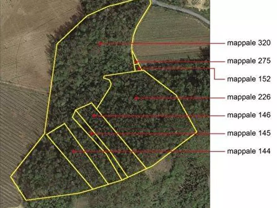 terreno agricolo in vendita a Santa Giuletta