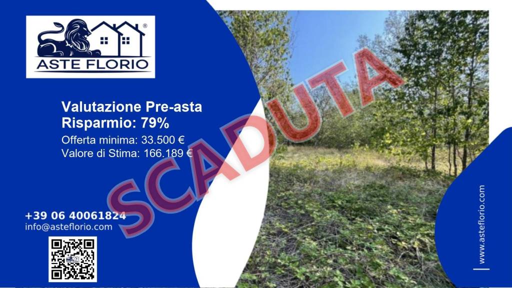 terreno agricolo in vendita a Santa Giuletta