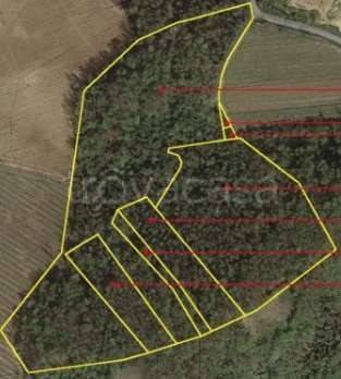 terreno agricolo in vendita a Santa Giuletta