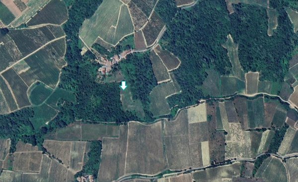 terreno agricolo in vendita a Santa Giuletta