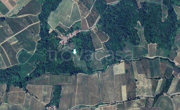 terreno agricolo in vendita a Santa Giuletta