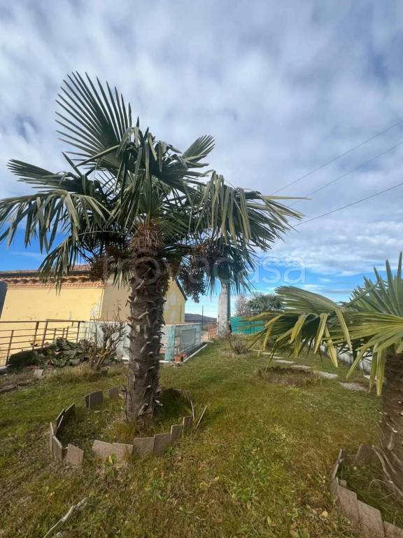 casa indipendente in vendita a Santa Margherita di Staffora in zona Massinigo