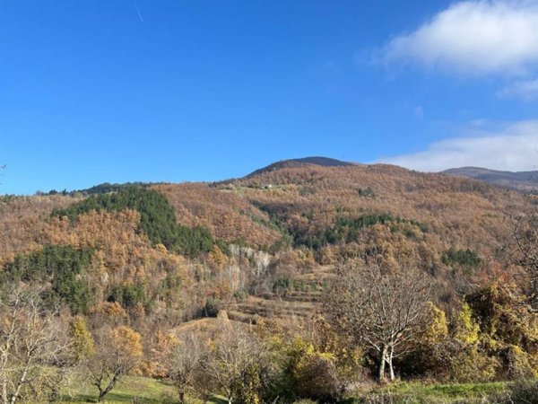 casa indipendente in vendita a Santa Margherita di Staffora