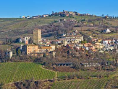terreno agricolo in vendita a Santa Maria della Versa in zona Soriasco