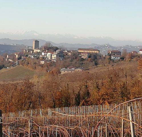 terreno agricolo in vendita a Santa Maria della Versa