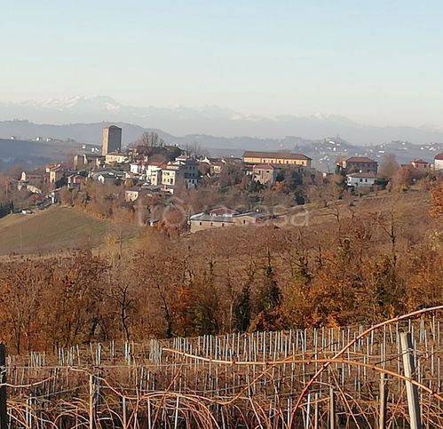 terreno agricolo in vendita a Santa Maria della Versa