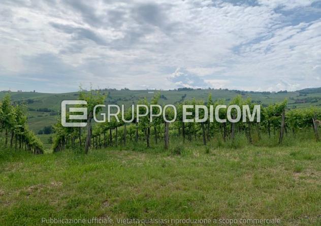 terreno agricolo in vendita a Santa Maria della Versa