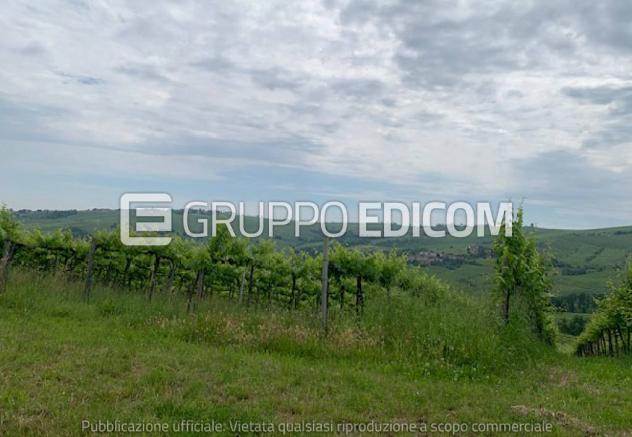 terreno agricolo in vendita a Santa Maria della Versa