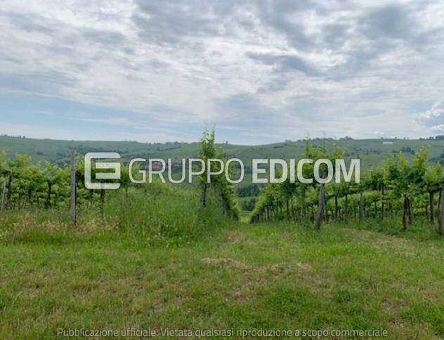 terreno agricolo in vendita a Santa Maria della Versa