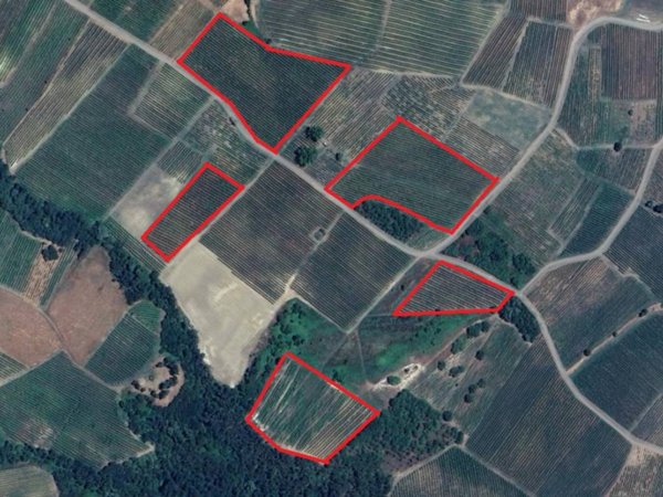 negozio in vendita a Santa Maria della Versa