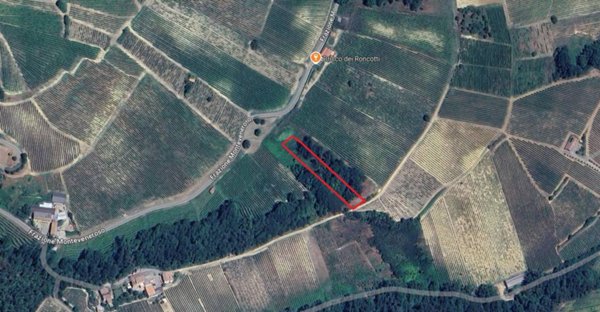 azienda agricola in vendita a Santa Maria della Versa