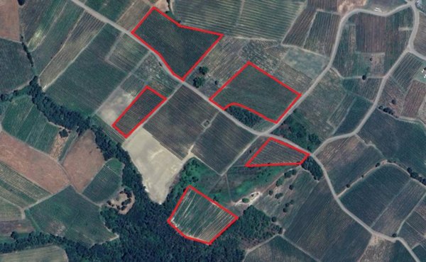azienda agricola in vendita a Santa Maria della Versa