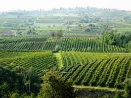 terreno agricolo in vendita a Santa Maria della Versa