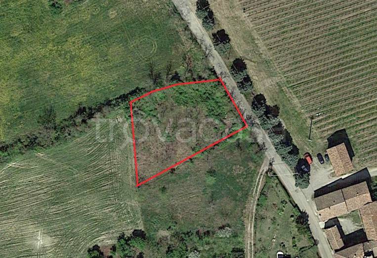 terreno agricolo in vendita a Santa Maria della Versa in zona Pizzofreddo