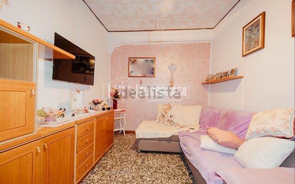 pentavano in vendita a Sartirana Lomellina