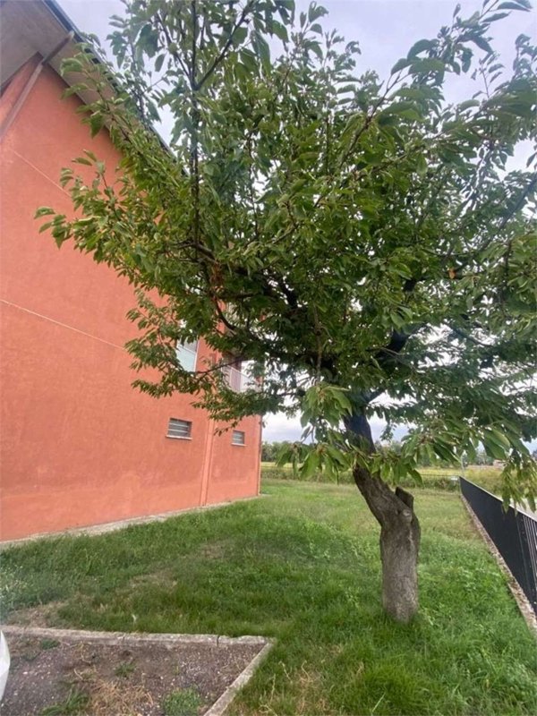 appartamento in vendita a Scaldasole