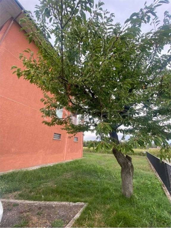 appartamento in vendita a Scaldasole