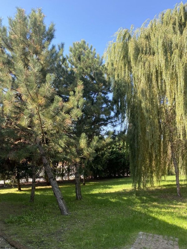 casale in vendita a Semiana