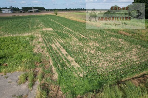 terreno agricolo in vendita a Siziano