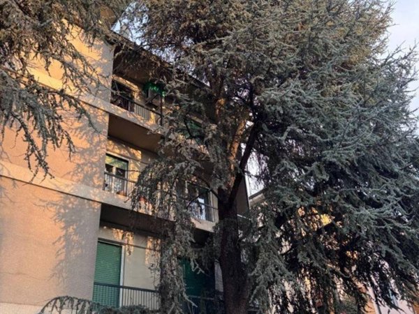 appartamento in vendita a Stradella