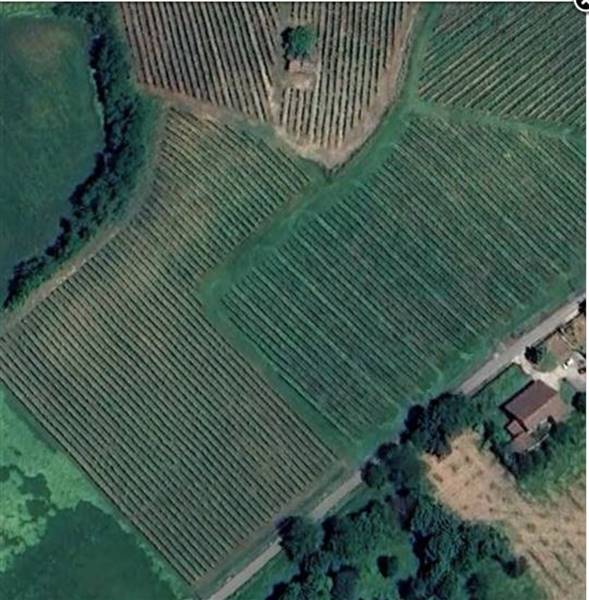 azienda agricola in vendita a Stradella