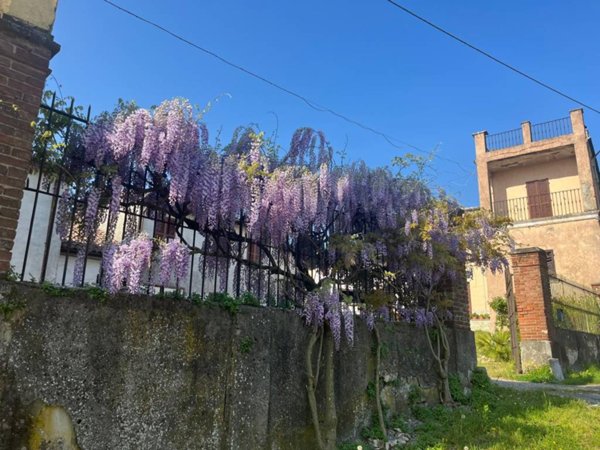 casa indipendente in vendita a Stradella in zona Solinga