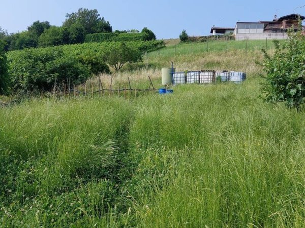 terreno agricolo in vendita a Stradella in zona Casamassimini