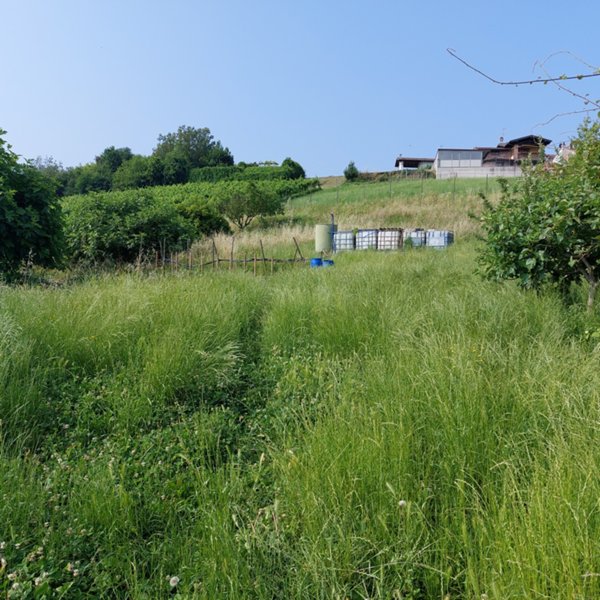 terreno edificabile in vendita a Stradella in zona Casamassimini