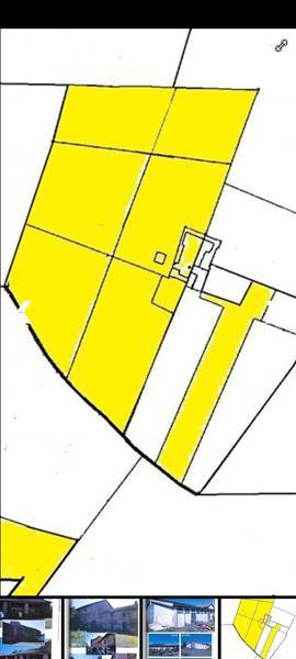azienda agricola in vendita a Stradella in zona Montebruciato