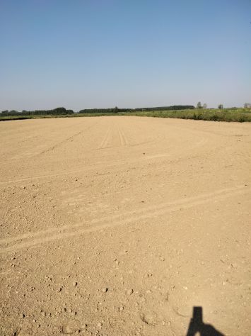 terreno agricolo in vendita a Suardi