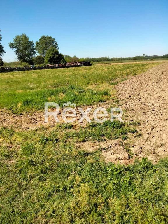 terreno agricolo in vendita a Suardi