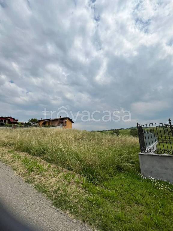 terreno agricolo in vendita a Torrazza Coste