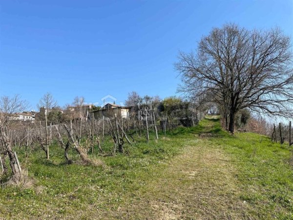 casale in vendita a Torrazza Coste in zona Castellaro