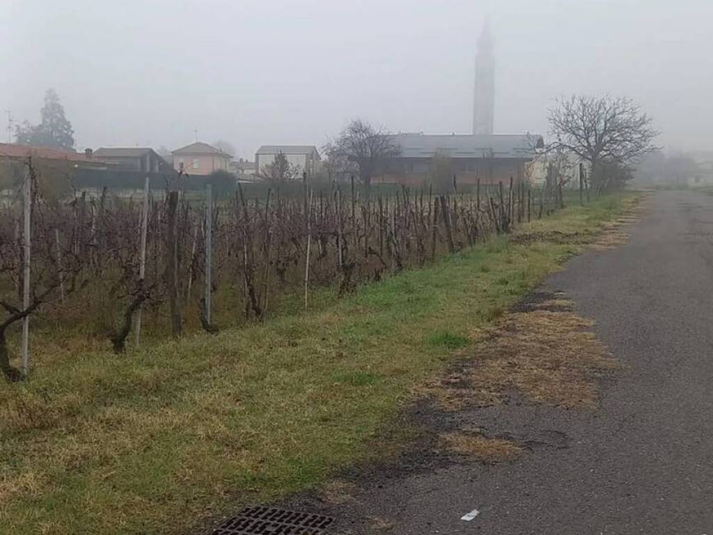 terreno edificabile in vendita a Torrazza Coste