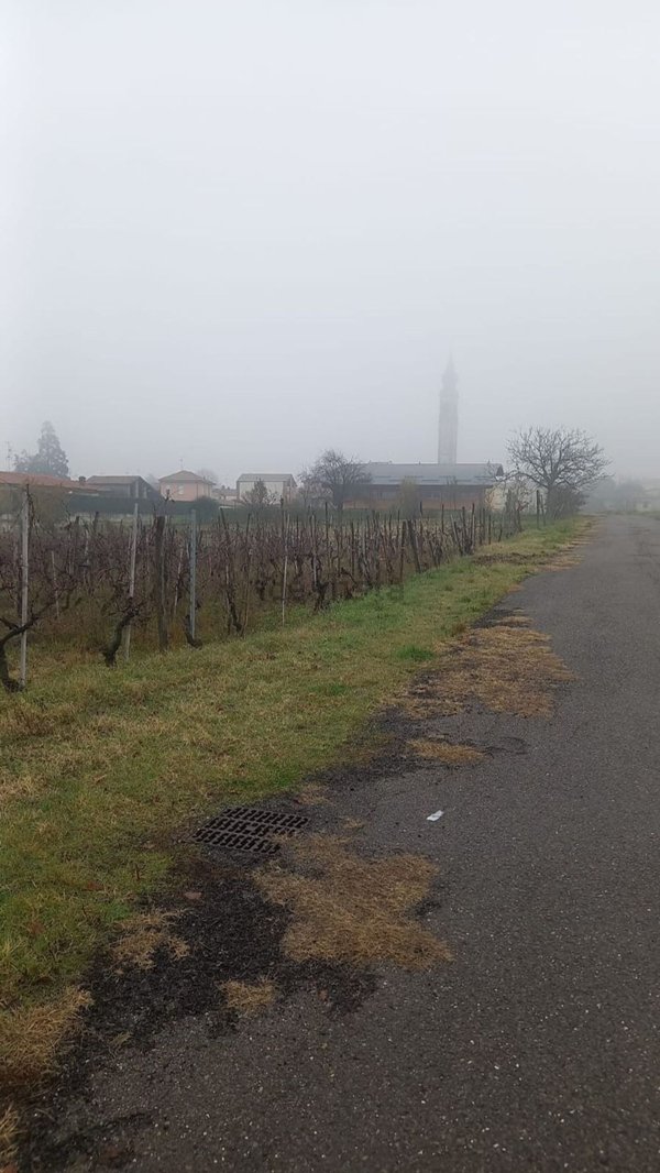 terreno edificabile in vendita a Torrazza Coste