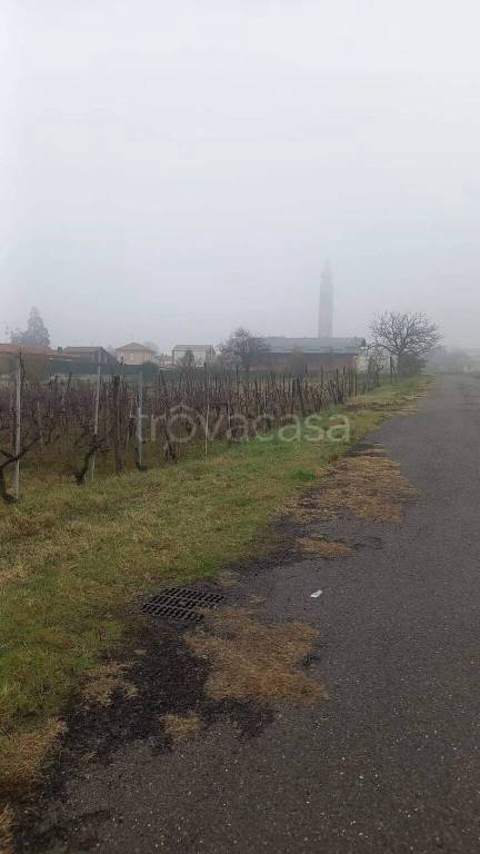 terreno edificabile in vendita a Torrazza Coste