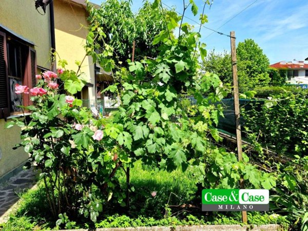casa indipendente in vendita a Torrevecchia Pia