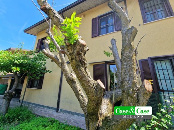 casa indipendente in vendita a Torrevecchia Pia