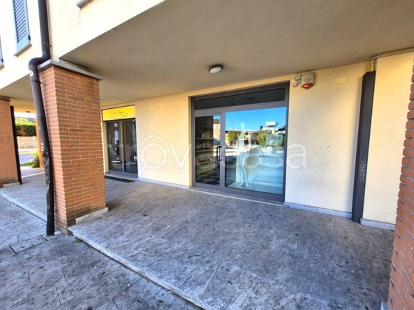 negozio in vendita a Torrevecchia Pia