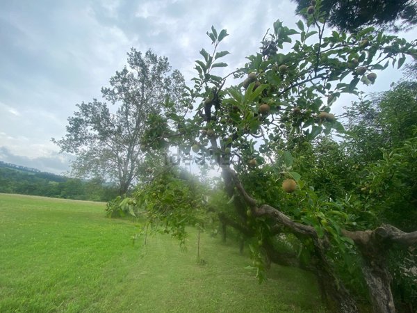 casa indipendente in vendita a Torricella Verzate