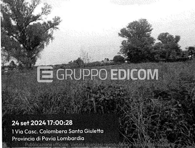 terreno agricolo in vendita a Travacò Siccomario