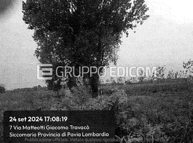 terreno agricolo in vendita a Travacò Siccomario