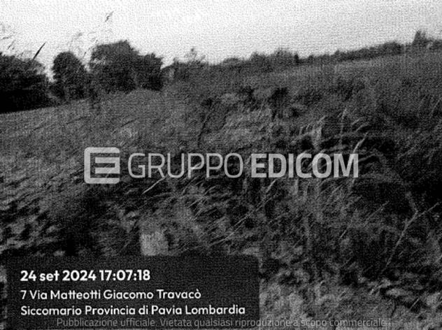 terreno agricolo in vendita a Travacò Siccomario