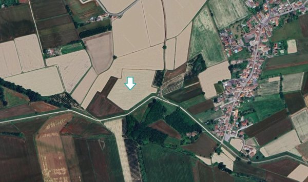 terreno agricolo in vendita a Travacò Siccomario