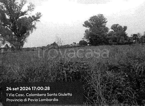 terreno agricolo in vendita a Travacò Siccomario