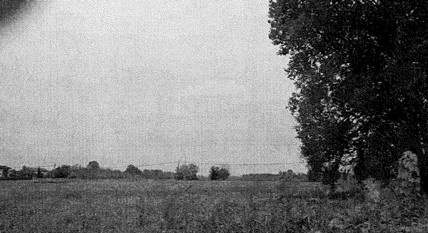 terreno agricolo in vendita a Travacò Siccomario