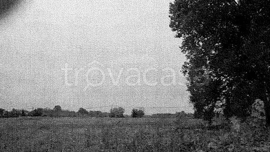 terreno agricolo in vendita a Travacò Siccomario