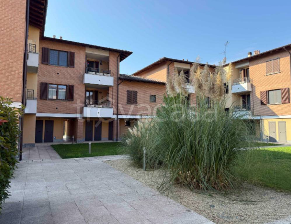 terreno edificabile in vendita a Travacò Siccomario